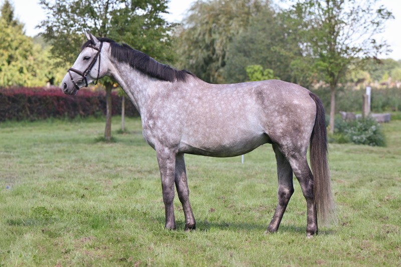 Dellbrueck_946_3856-2_