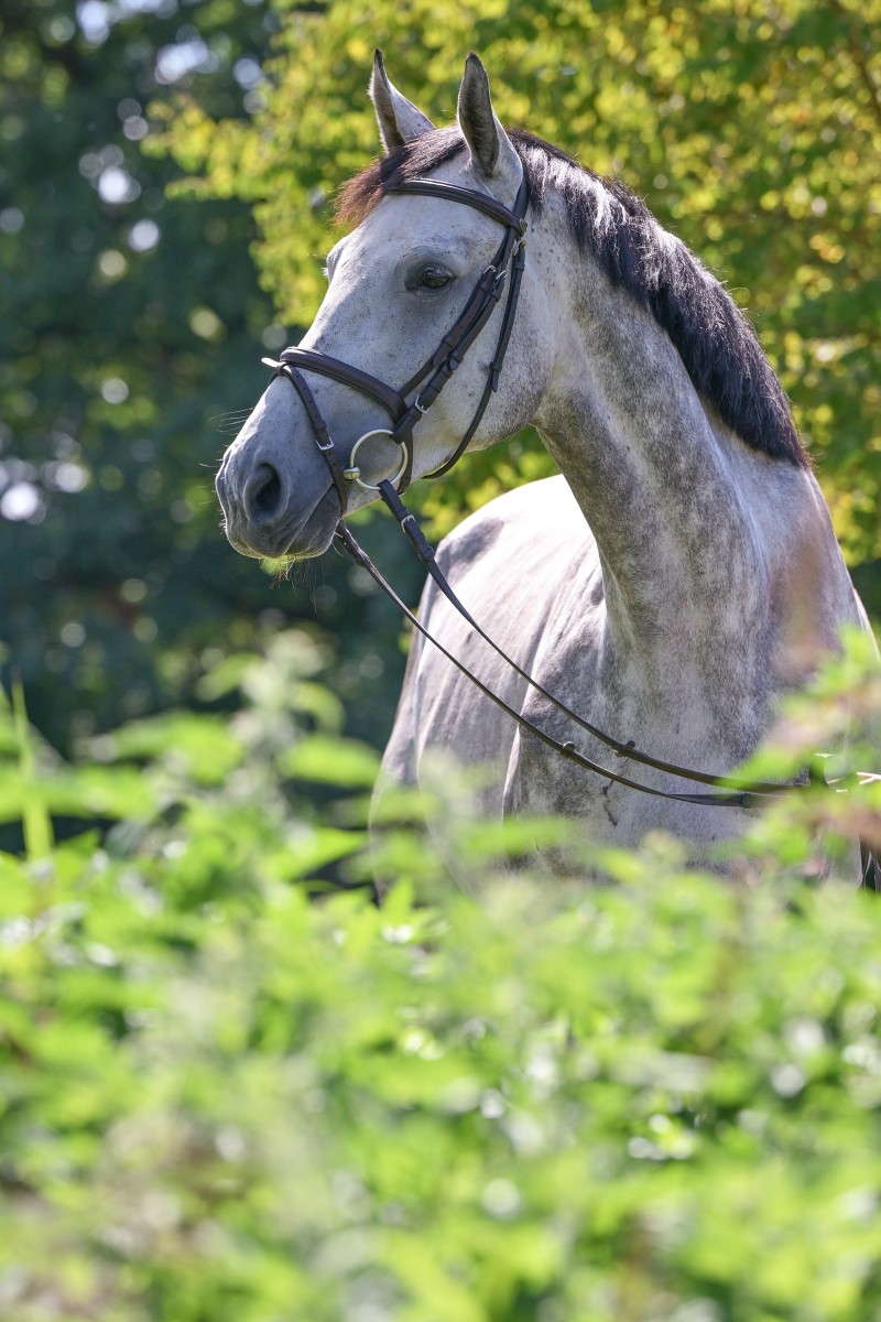 Dellbrueck_946_4075-2