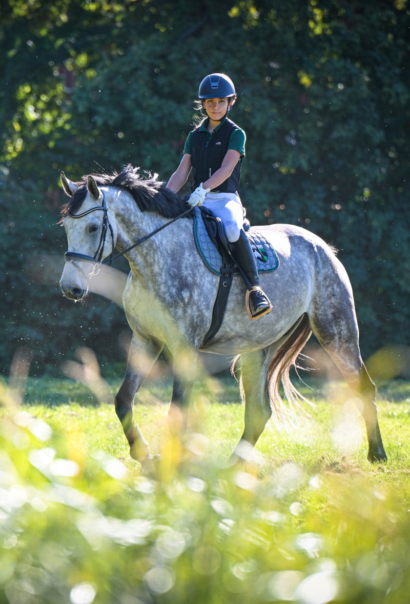 Dellbrueck_946_5577-2_