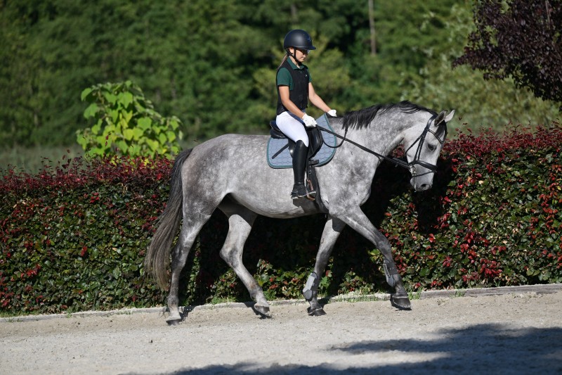 Dellbrueck_946_5875_