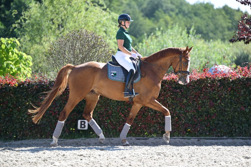 Sir Winnie Puh_946_1751_