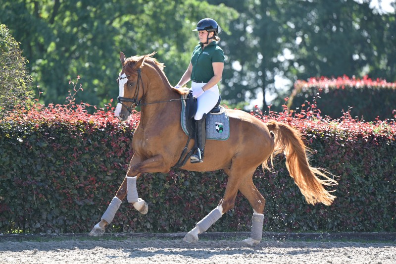 Sir Winnie Puh_946_1881_