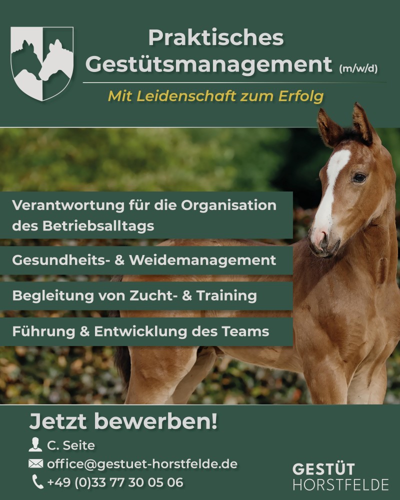 260228_anzeige gestütsmanagement