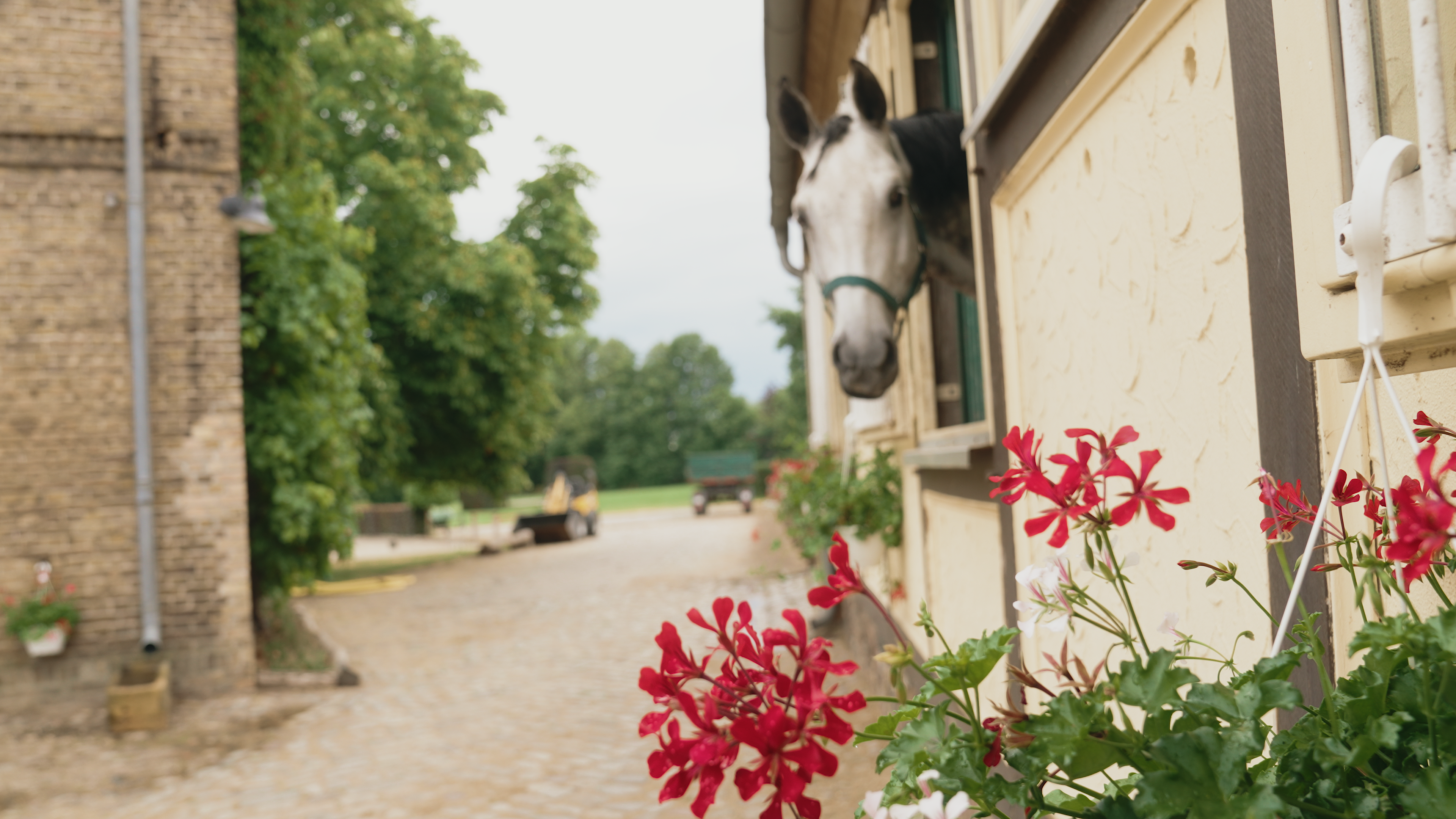 Itzenplitz_00007