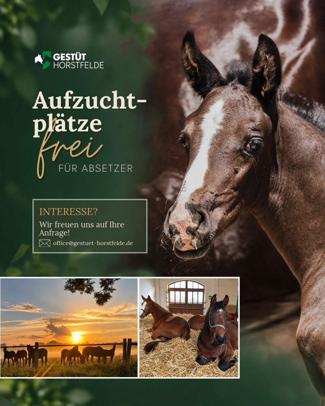 Aufzuchtplätze frei