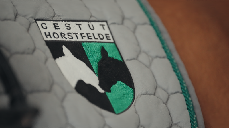 Satteldecke_00015