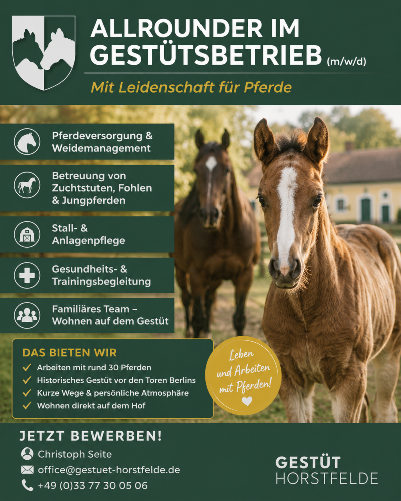 Allrounder gesucht