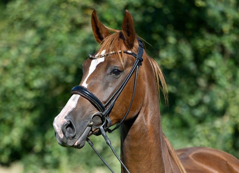 Filippa_946_5108-2_qf
