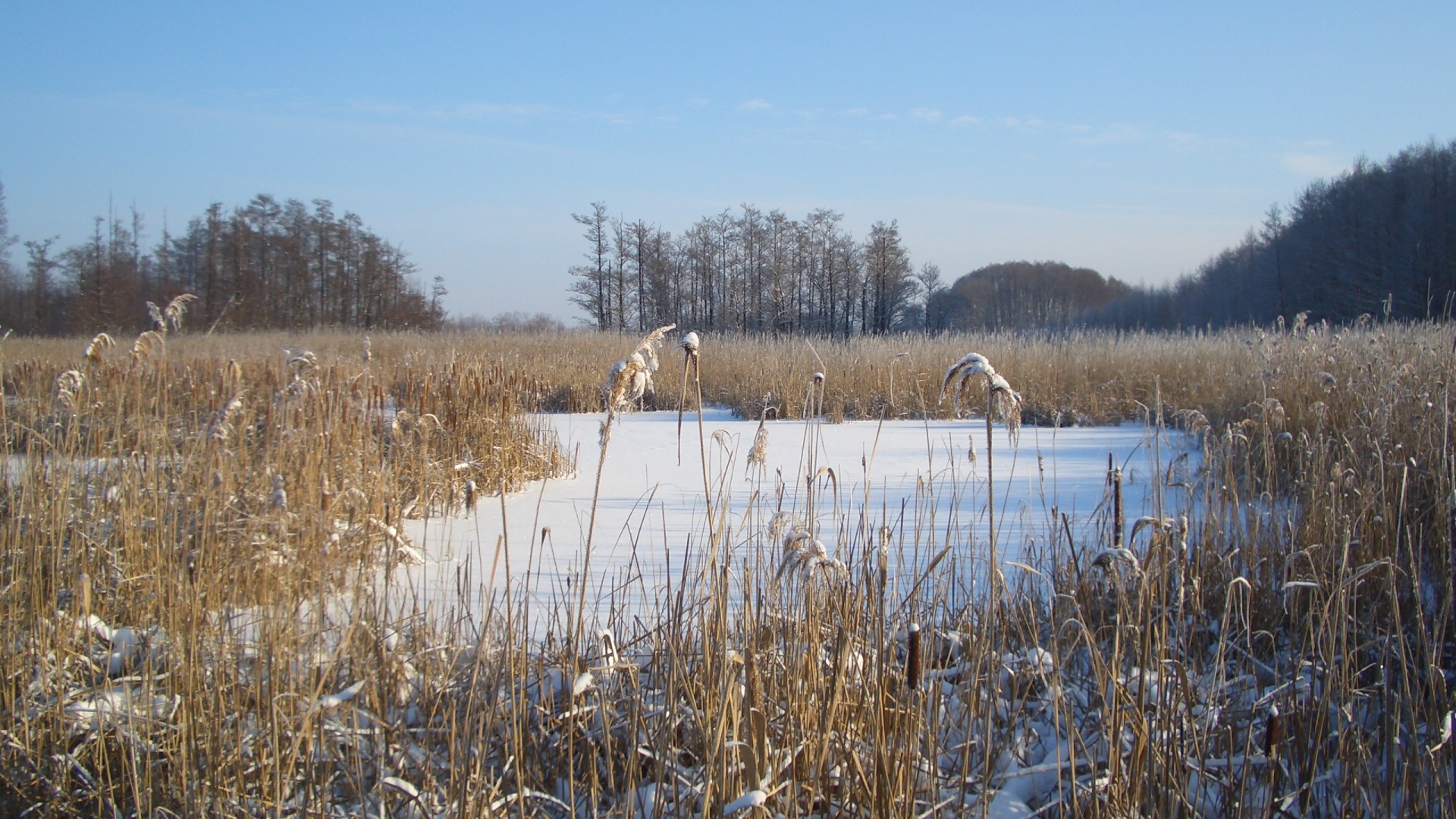 Horstfelde Impressionen 5