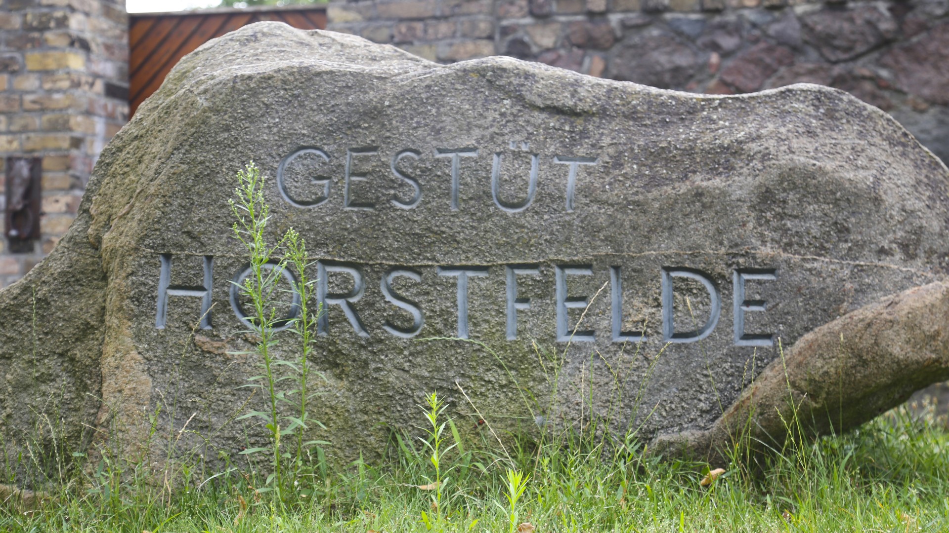 190716_Horstfelde-102_gestütsstein